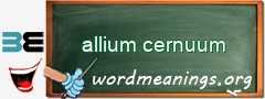 WordMeaning blackboard for allium cernuum